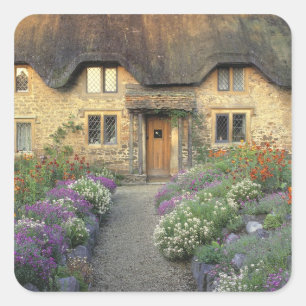 Europe, England, Chippenham. Early morning light Square Sticker