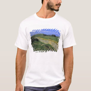 Europe, England, Hadrian's Wall. The stones of T-Shirt