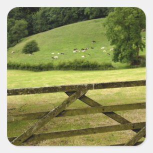 Europe, England, Lake District, Cumbria, Square Sticker