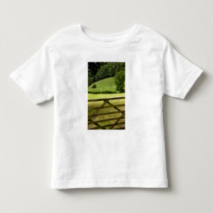 Europe, England, Lake District, Cumbria, Toddler T-shirt