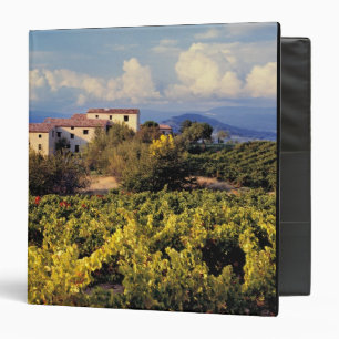 Europe, France, Bonnieux. Vineyards cover the Binder