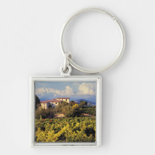 Europe, France, Bonnieux. Vineyards cover the Keychain
