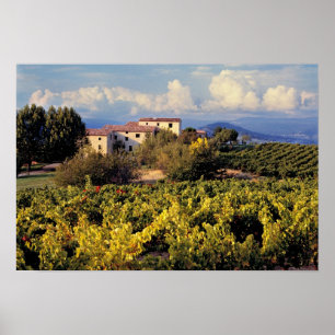 Europe, France, Bonnieux. Vineyards cover the Poster
