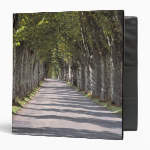 Europe, France, Cereste. Trees line this road Binder