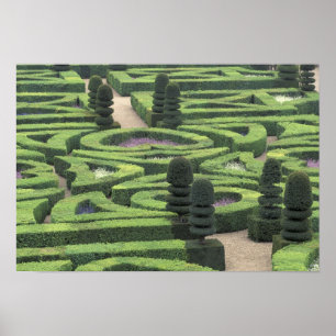 Europe, France, Indre, et, Loire; Loire Poster