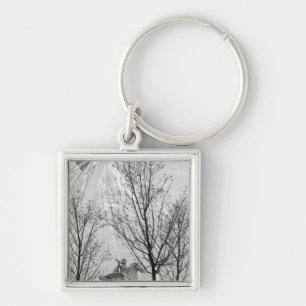 Europe, France, Paris. Statue and Ferris Wheel, Keychain