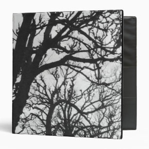 Europe, France, Paris. Winter trees, Marco Binder