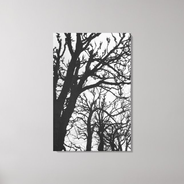 Europe, France, Paris. Winter trees, Marco Canvas Print (Front)