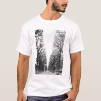 Europe, France, Paris. Winter trees, Marco Polo