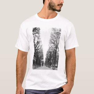 Europe, France, Paris. Winter trees, Marco Polo