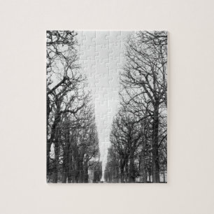 Europe, France, Paris. Winter trees, Marco Polo Jigsaw Puzzle