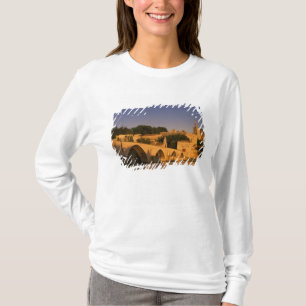Europe, France, Provence, Avignon. Palais des 2 T-Shirt