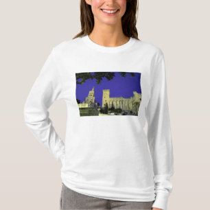 Europe, France, Provence, Avignon. Palais des T-Shirt