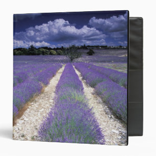 Europe, France, Provence. Lavander fields Binder