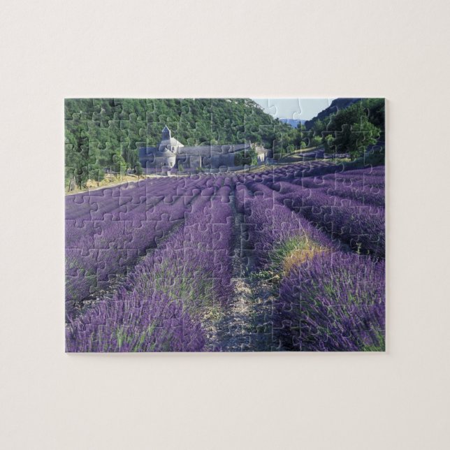 Europe, France, Provence. Lavander fields Jigsaw Puzzle (Horizontal)