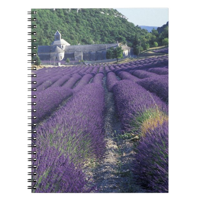Europe, France, Provence. Lavander fields Notebook (Front)