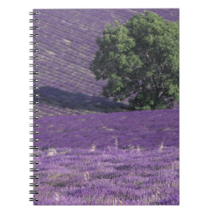 Europe, France, Provence, Sault, Lavender fields Notebook