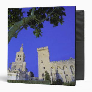 Europe, France, Provence, Vaucluse, Avignon. Binder