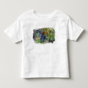 Europe, France, Roussillon. Vineyards, with Toddler T-shirt