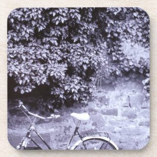 Europe, Germany, Baden, Wurttemberg, Heidelberg. 2 Coaster