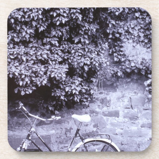 Europe, Germany, Baden, Wurttemberg, Heidelberg. 2 Coaster (Front)