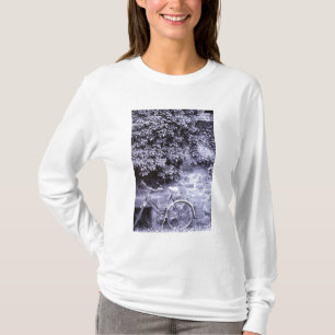 Europe, Germany, Baden, Wurttemberg, Heidelberg. 2 T-Shirt