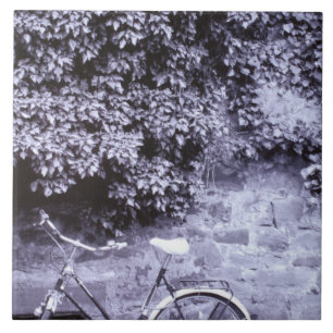 Europe, Germany, Baden, Wurttemberg, Heidelberg. 2 Tile