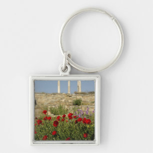 Europe, Greece, Cyclades, Delos. Column ruins. 2 Keychain