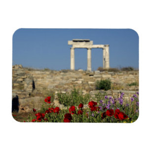 Europe, Greece, Cyclades, Delos. Column ruins. Magnet