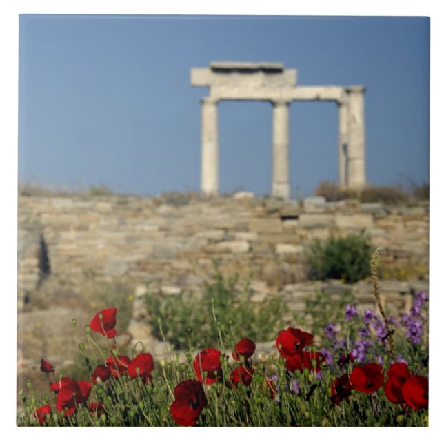 Europe, Greece, Cyclades, Delos. Column ruins. Tile (Front)