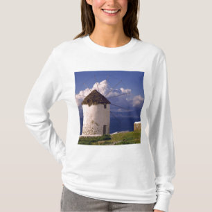 Europe, Greece, Mykonos. A striking white T-Shirt