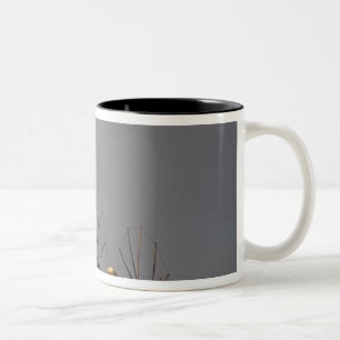 Europe, Greece, Mykonos. wind mill with rainbow Two-Tone Coffee Mug
