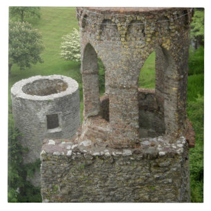 Europe, Ireland, Blarney Castle. THIS IMAGE Tile