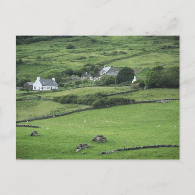 Europe, Ireland, Kerry County, Ring of Kerry. Postcard (Front)