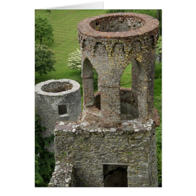 Europe, Irlande, Château de Blarney. CETTE IMAGE (Devant)