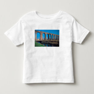 Europe, Italy. Aquaduct near Lucca. Toddler T-shirt