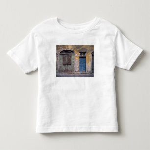 Europe, Italy, Lucca. These old doors add Toddler T-shirt