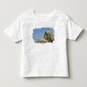 Europe, Italy, Portovenere aka Porto Venere. 3 Toddler T-shirt