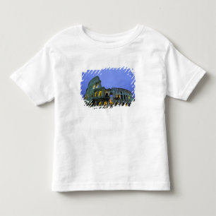 Europe, Italy, Rome. Evening view of the Toddler T-shirt