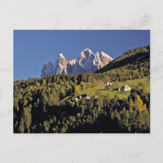 Europe, Italy, San Pietro. The Odle Group seem Postcard (Front)