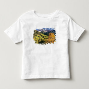 Europe, Italy, Santa Magdalena. The tiny Toddler T-shirt