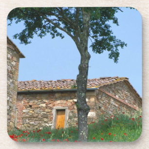 Europe, Italy, Tuscany, abandoned villa in Coaster