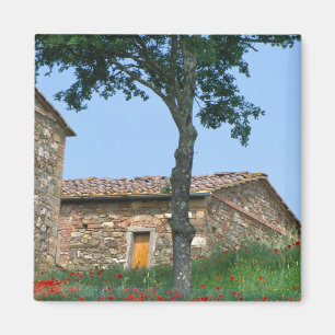 Europe, Italy, Tuscany, abandoned villa in Magnet