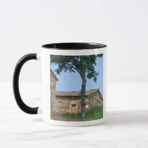 Europe, Italy, Tuscany, abandoned villa in Mug