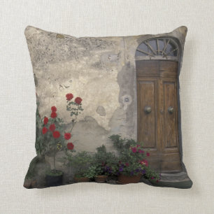 Europe, Italy, Tuscany, Chianti, Tuscan doorway Throw Pillow
