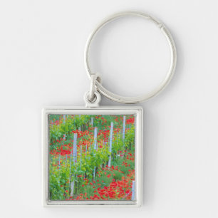Europe, Italy, Tuscany. Colourful red poppies in Keychain