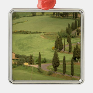 Europe, Italy, Tuscany, Monticchiello. Curvy Metal Ornament