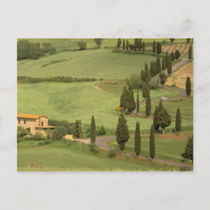 Europe, Italy, Tuscany, Monticchiello. Curvy Postcard