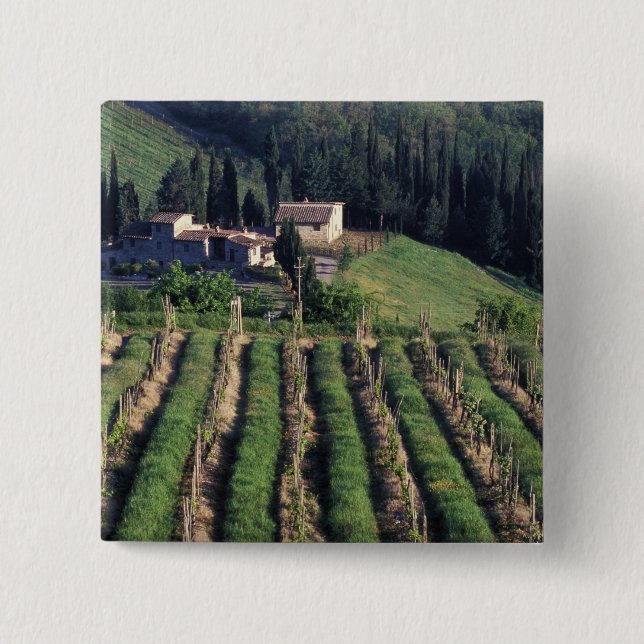 Europe, Italy, Tuscany. Scenic villa cyprus. 2 Inch Square Button (Front)