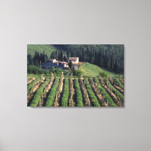 Europe, Italy, Tuscany. Scenic villa cyprus. Canvas Print
